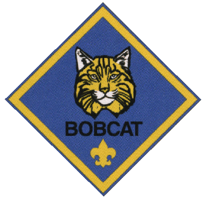 Cub Scout Pack 141 - Bobcat